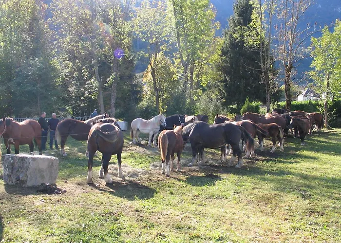 Marioutat Arrens-Marsous